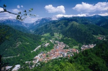 Tržič - panorama