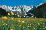 SLOVENIAN ALPS: On the sunny side of life