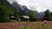 Triglavski narodni park - Pocarjeva domačija