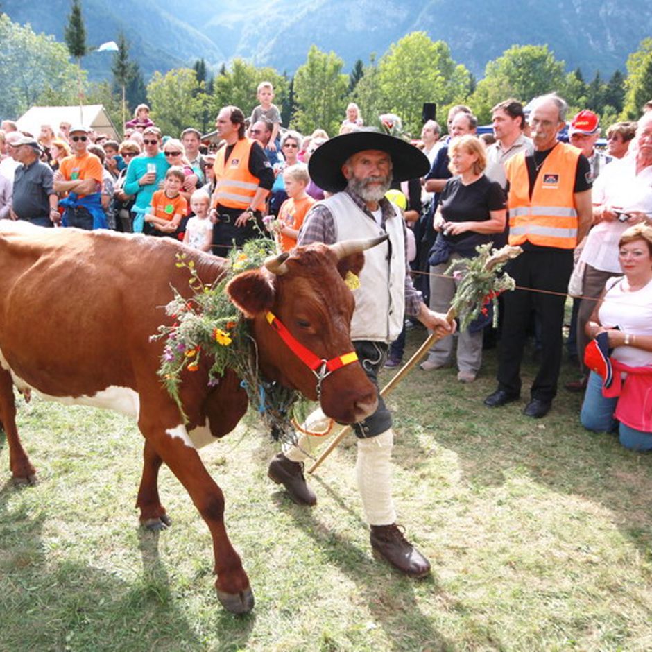 Tradicionalne prireditve