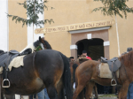 Sejem sv. Štefana in žegnanje konj na Kupljeniku 2015